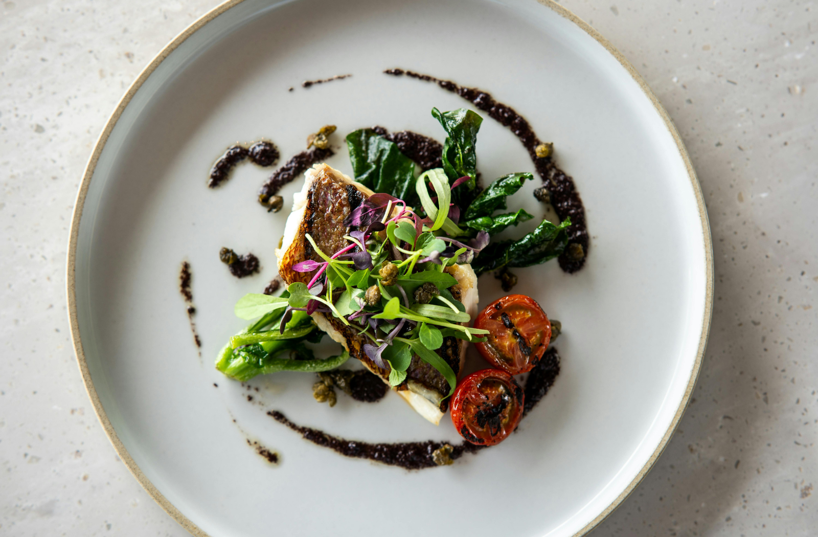 An overhead shot of a beautifully plated gourmet dish on a speckled light gray ceramic plate. The dish features grilled salmon with a crispy skin, mixed greens, microgreens, halved cherry tomatoes, and a drizzle of dark balsamic sauce on a light beige stone countertop.